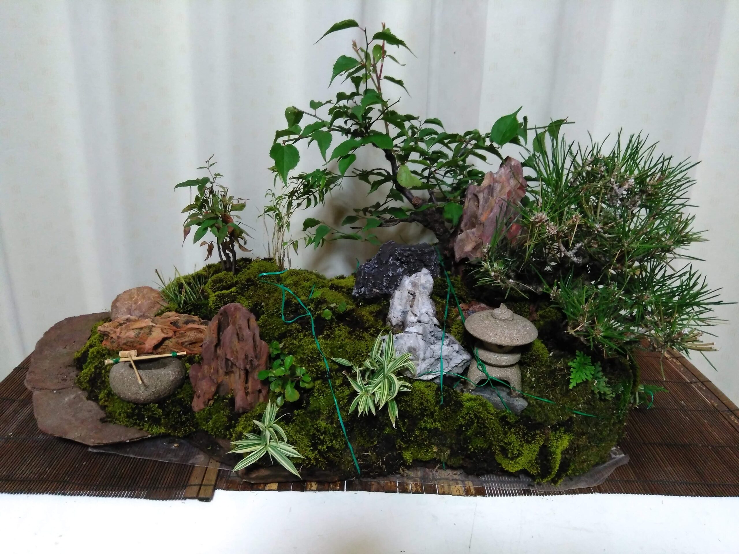 幻の鞍馬石 青鞍馬 くらま石 錆 石 盆栽 鑑賞用 鉢 植木 家宝 - 工芸品